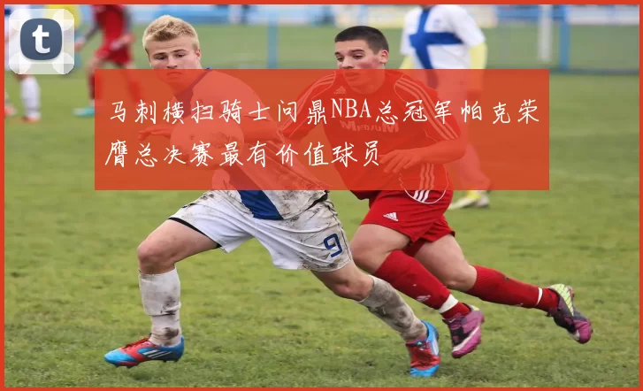 马刺横扫骑士问鼎NBA总冠军帕克荣膺总决赛最有价值球员