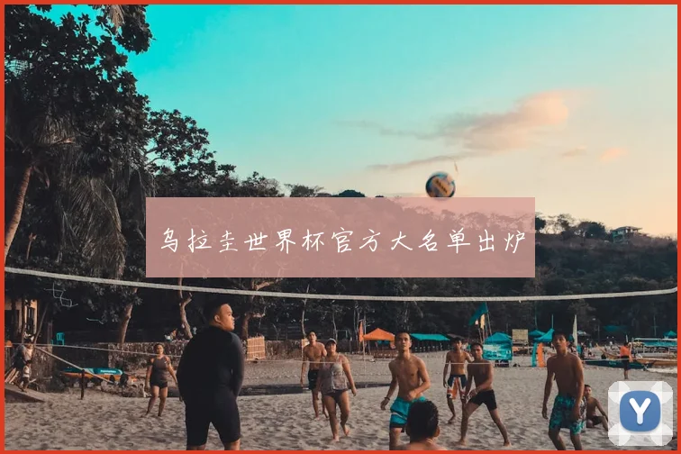 乌拉圭世界杯官方大名单出炉